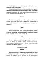 Referāts 'Sitaminstrumenti', 18.