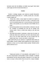 Referāts 'Sitaminstrumenti', 20.