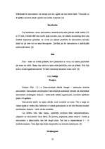 Referāts 'Sitaminstrumenti', 21.