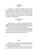 Referāts 'Sitaminstrumenti', 24.