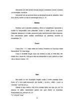 Referāts 'Sitaminstrumenti', 27.