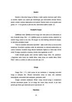 Referāts 'Sitaminstrumenti', 28.