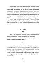 Referāts 'Sitaminstrumenti', 29.