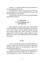 Referāts 'Sitaminstrumenti', 30.