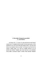 Referāts 'Sitaminstrumenti', 31.