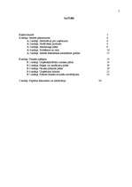 Biznesa plāns 'Biznesa plāns SIA "Sevilla" pirmajam darbības gadam', 2.