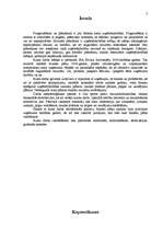 Biznesa plāns 'Biznesa plāns SIA "Sevilla" pirmajam darbības gadam', 3.