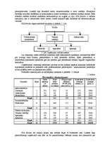 Biznesa plāns 'Biznesa plāns SIA "Sevilla" pirmajam darbības gadam', 6.