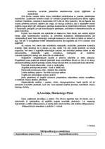 Biznesa plāns 'Biznesa plāns SIA "Sevilla" pirmajam darbības gadam', 8.