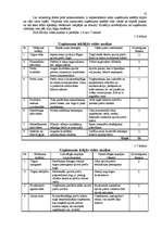 Biznesa plāns 'Biznesa plāns SIA "Sevilla" pirmajam darbības gadam', 10.