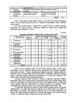 Biznesa plāns 'Biznesa plāns SIA "Sevilla" pirmajam darbības gadam', 11.