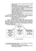 Biznesa plāns 'Biznesa plāns SIA "Sevilla" pirmajam darbības gadam', 13.