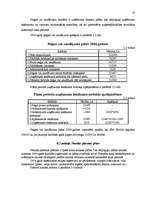 Biznesa plāns 'Biznesa plāns SIA "Sevilla" pirmajam darbības gadam', 18.