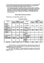 Biznesa plāns 'Biznesa plāns SIA "Sevilla" pirmajam darbības gadam', 22.