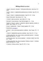 Biznesa plāns 'Biznesa plāns SIA "Sevilla" pirmajam darbības gadam', 29.