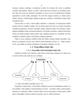 Diplomdarbs 'Tirgvedības funkcijas un pilnveidošanas iespējas uzņēmumā "Nestle"', 13.