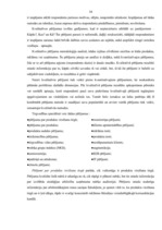 Diplomdarbs 'Tirgvedības funkcijas un pilnveidošanas iespējas uzņēmumā "Nestle"', 34.