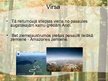 Prezentācija 'Dienvidamerikas ievērojamākie tūrisma objekti', 17.