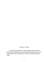 Referāts 'Humberts – varmāka vai pavedinātais Vladimira Nabokova romānā "Lolita"', 11.