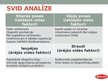Prezentācija 'SIA "Spilva" stratēģijas plānošana un analīze', 8.