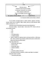 Referāts 'Tiešās ārējās vides un tās ietekmes uz uzņēmuma darbību', 16.