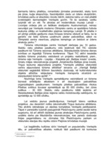 Referāts 'Pasākumu veidošana pilsētā vai reģionā', 7.