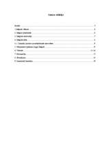 Referāts 'Nekustamā īpašuma tirgus attīstība Ikšķilē un tās lauku teritorijā', 2.