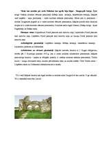 Referāts 'Nekustamā īpašuma tirgus attīstība Ikšķilē un tās lauku teritorijā', 5.