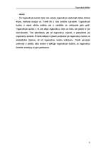 Referāts 'Organizāciju kultūra', 3.