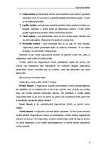 Referāts 'Organizāciju kultūra', 6.