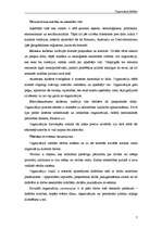 Referāts 'Organizāciju kultūra', 7.