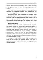 Referāts 'Organizāciju kultūra', 12.