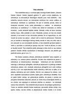 Referāts 'Tīkla sabiedrības teorija', 2.