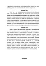 Referāts 'Tīkla sabiedrības teorija', 5.