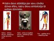 Prezentācija 'Senās Ēģiptes mitoloģija, pasaules uzskati, to atspoguļojums mākslā', 6.
