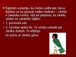 Prezentācija 'Senās Ēģiptes mitoloģija, pasaules uzskati, to atspoguļojums mākslā', 7.