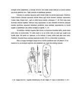 Referāts 'Latgaļu kapulauki vēlajā dzelzs laikmetā', 8.