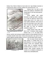 Referāts 'Latgaļu kapulauki vēlajā dzelzs laikmetā', 15.