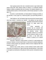 Referāts 'Latgaļu kapulauki vēlajā dzelzs laikmetā', 16.