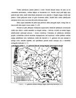 Referāts 'Latgaļu kapulauki vēlajā dzelzs laikmetā', 17.