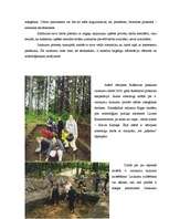 Referāts 'Latgaļu kapulauki vēlajā dzelzs laikmetā', 33.