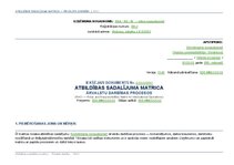 Paraugs 'Atbildības sadalījuma matrica ārvalstu darbības procesos', 1.