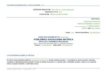 Paraugs 'Atbildības sadalījuma matrica ārvalstu darbības procesos', 9.