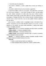 Referāts 'J.A.Komenskis', 3.