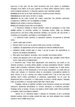 Referāts 'J.A.Komenskis', 32.