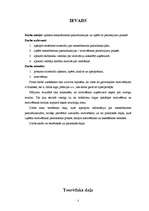 Referāts 'Menedžmenta pamatfunkcijas un to pielietošanas iespējas', 3.