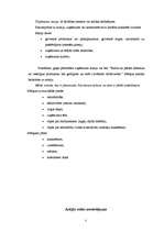 Referāts 'Menedžmenta pamatfunkcijas un to pielietošanas iespējas', 5.