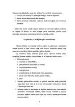 Referāts 'Menedžmenta pamatfunkcijas un to pielietošanas iespējas', 6.