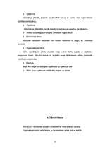 Referāts 'Menedžmenta pamatfunkcijas un to pielietošanas iespējas', 13.