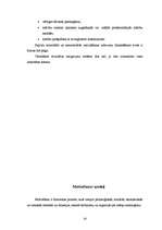 Referāts 'Menedžmenta pamatfunkcijas un to pielietošanas iespējas', 18.